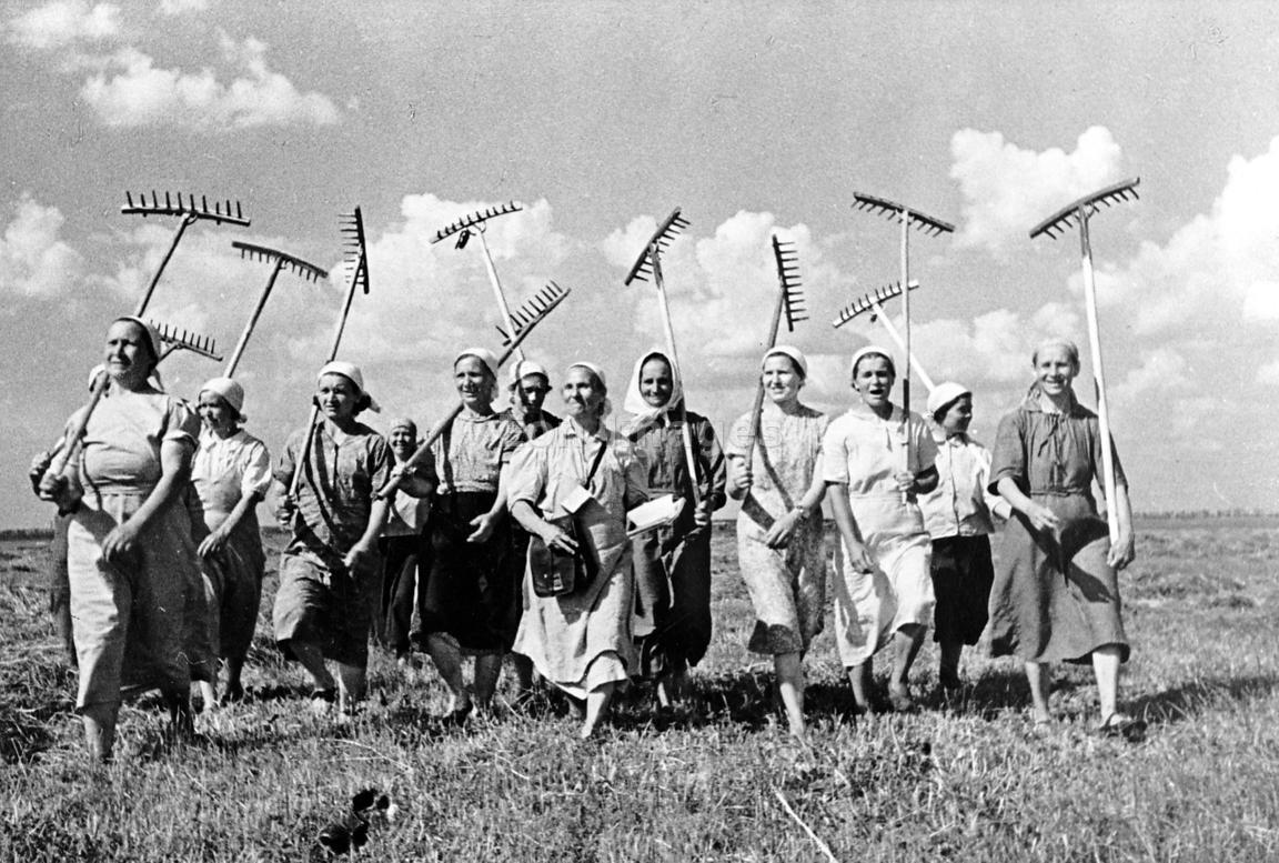 Klishevo collective farm, near Moscow, USSR (Union of Soviet Socialist Republics). A group of women collective farmers replace the men who have left for the front. Image date: ca. 1941.