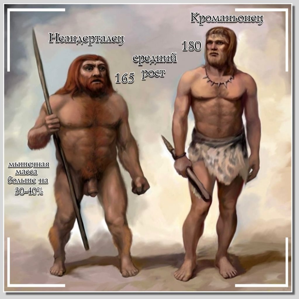 неандерталец и кроманьонец