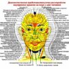 Болезни внутренних органов - взаимосвязи с реакцией кожи на лице.