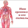 НАШ ОРГАНИЗМ И ЕГО СИГНАЛЫ